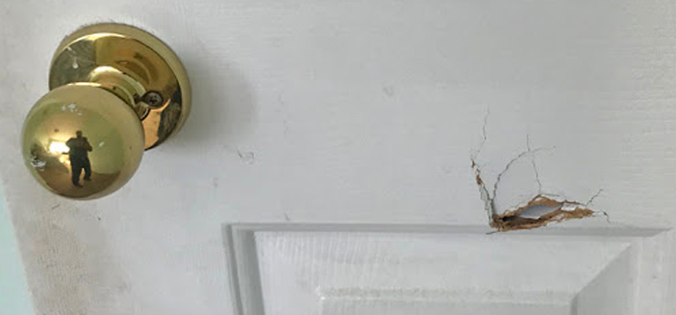 interior door hole repair Soledad